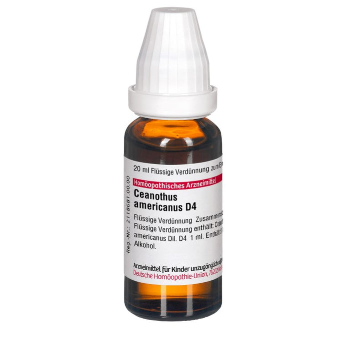 Ceanothus americanus D4 DHU Dilution, 20 ml Solution