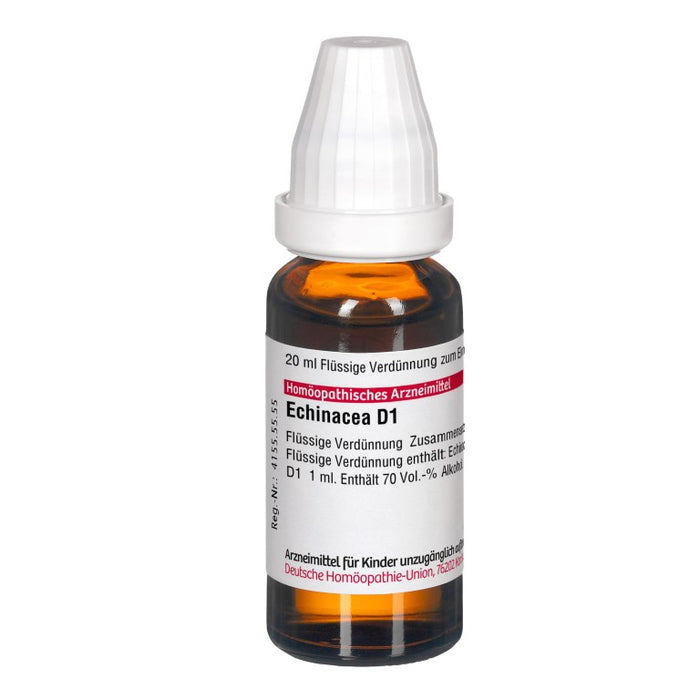 DHU Echinacea D1 Dilution, 20 ml Solution