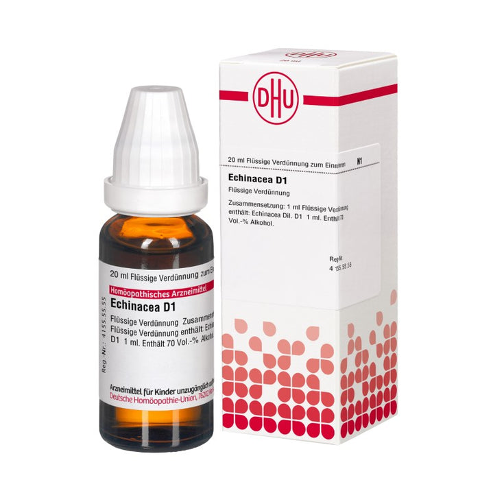 DHU Echinacea D1 Dilution, 20 ml Solution