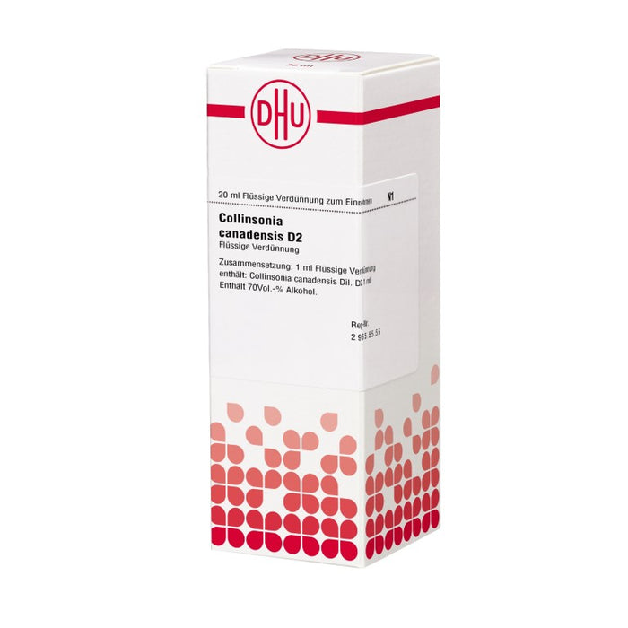 Collinsonia canadensis D2 DHU Dilution, 20 ml Solution