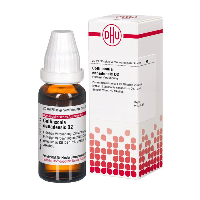 Collinsonia canadensis D2 DHU Dilution, 20 ml Solution