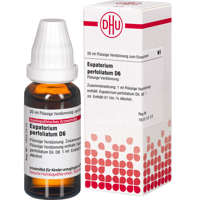 Eupatorium perfoliatum D6 DHU Dilution, 20 ml Solution