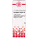 Convallaria majalis D4 DHU Dilution, 20 ml Lösung
