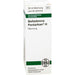 Belladonna Pentarkan  H Liquidum, 50 ml Lösung