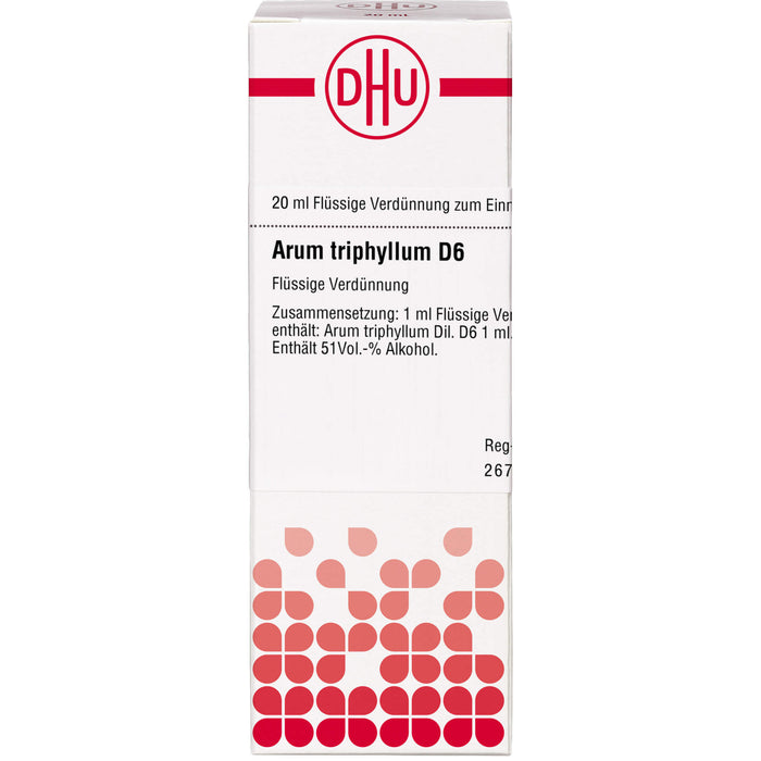Arum triphyllum D6 DHU Dilution, 20 ml Lösung