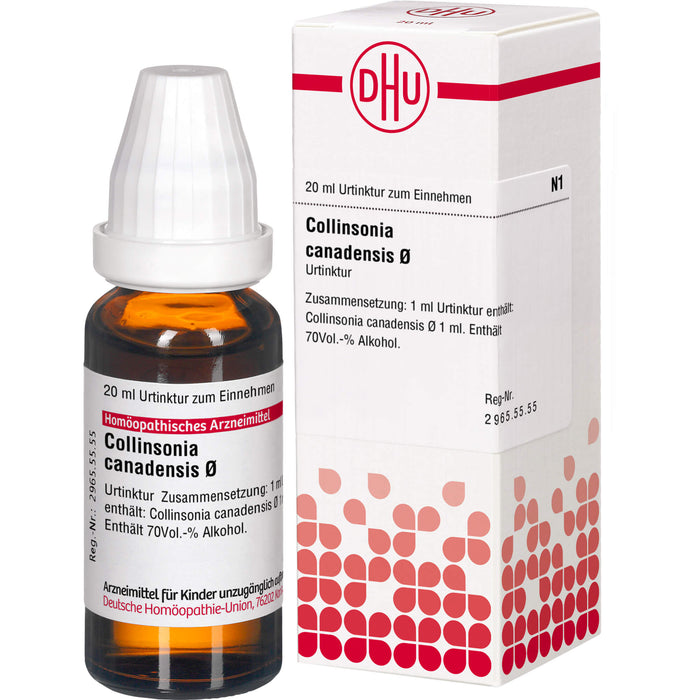 DHU Collinsonia canadensis Ø Urtinktur, 20 ml Solution