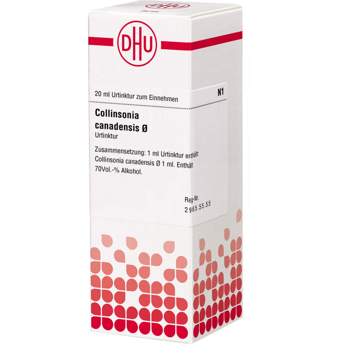 DHU Collinsonia canadensis Ø Urtinktur, 20 ml Solution