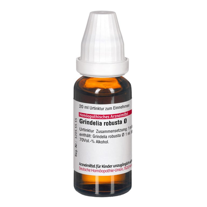 Grindelia robusta Urtinktur D1 DHU, 20 ml Lösung