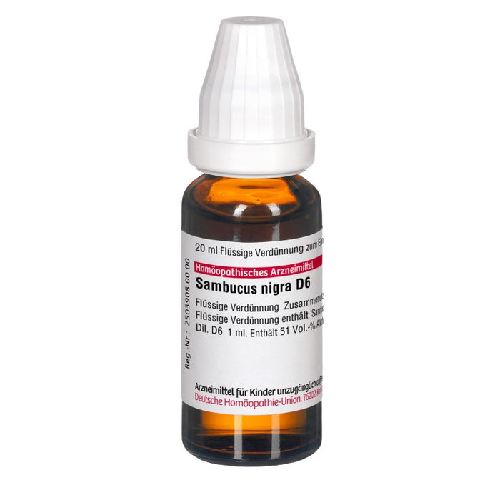 Sambucus nigra D6 DHU Dilution, 20 ml Solution