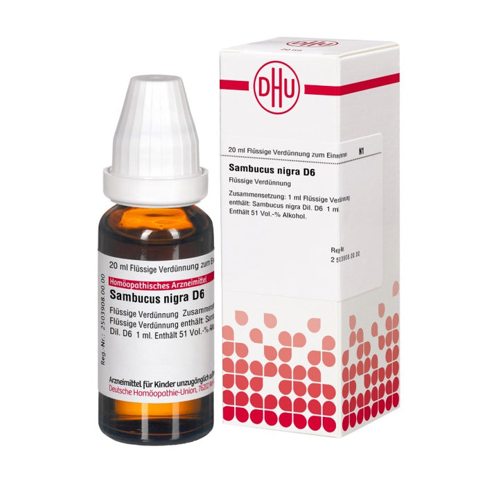Sambucus nigra D6 DHU Dilution, 20 ml Solution