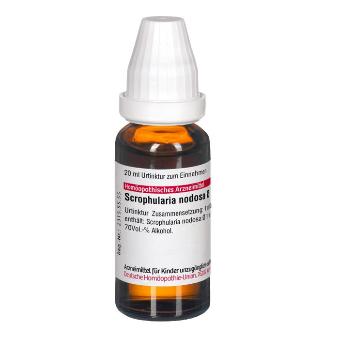 DHU Scrophularia nodosa ø Urtinktur, 20 ml Solution