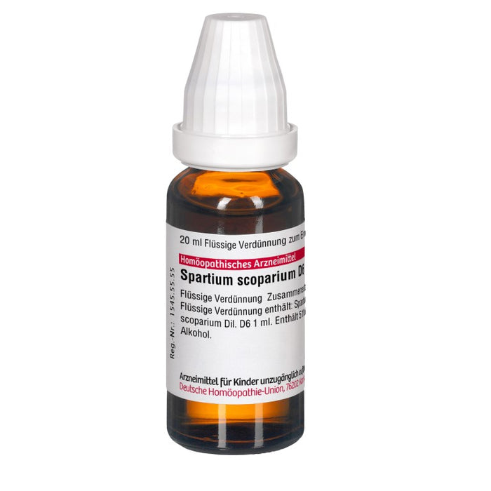 Spartium scoparium D6 DHU Dilution, 20 ml Solution