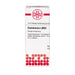 DHU Chelidonium LM XII Dilution, 10 ml Lösung
