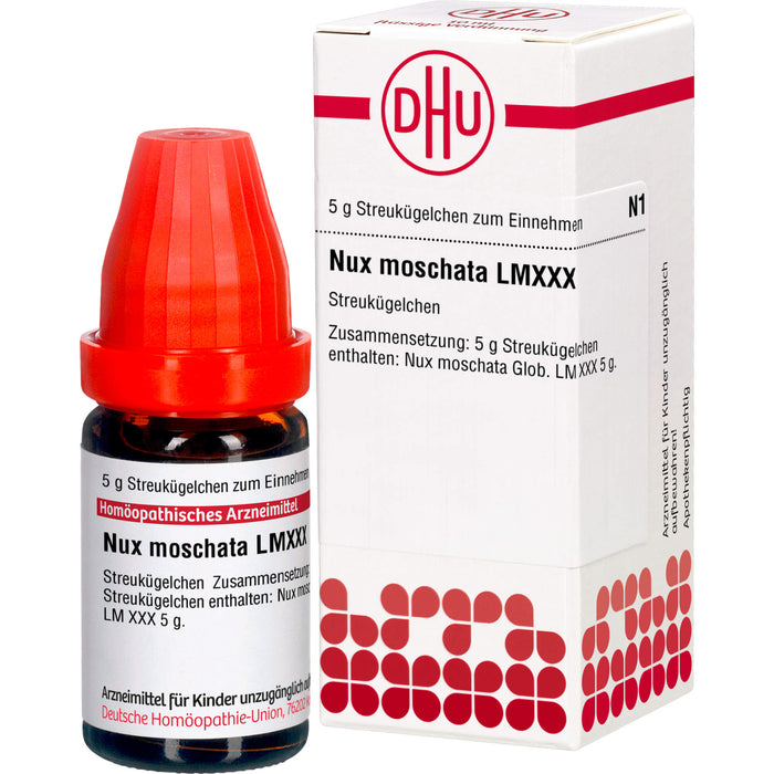 Nux moschata LM XXX DHU Globuli, 5 g Globules