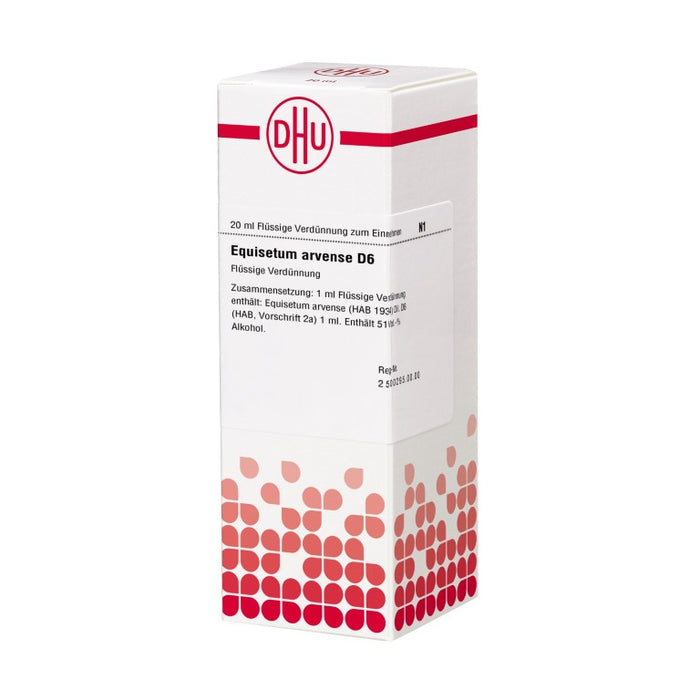 Equisetum arvense D6 DHU Dilution, 20 ml Solution