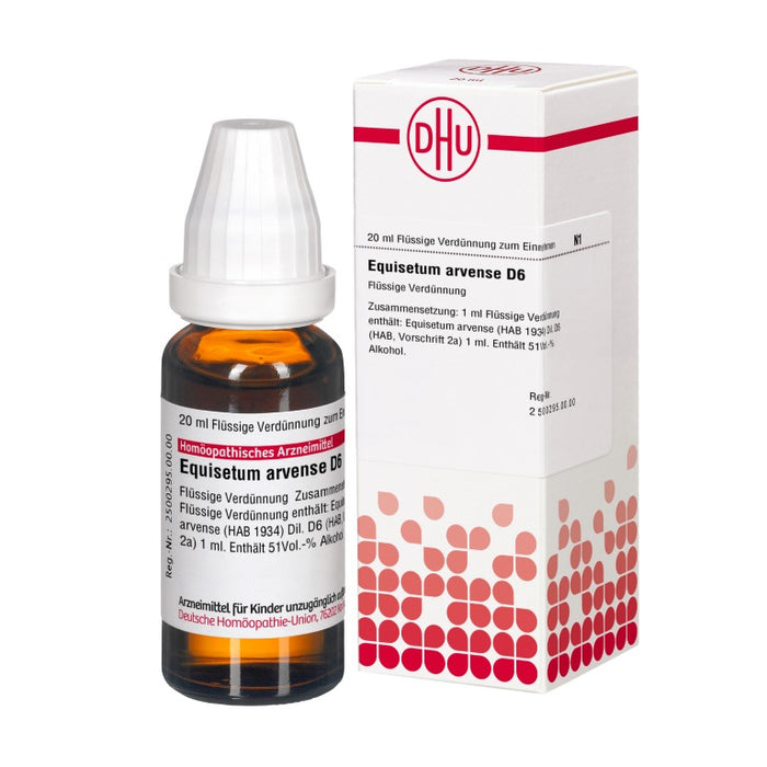 Equisetum arvense D6 DHU Dilution, 20 ml Lösung
