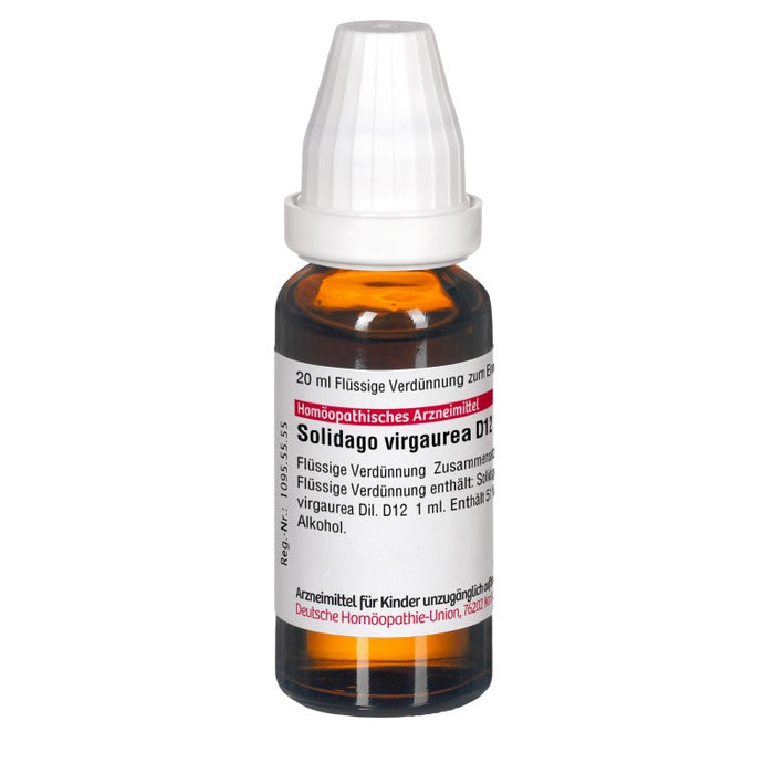 Solidago virgaurea D12 DHU Dilution, 20 ml Lösung