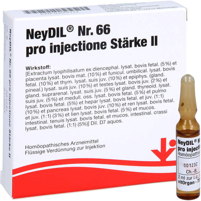NeyDil  Nr. 66 pro injectione St. II Amp., 5 ml Solution