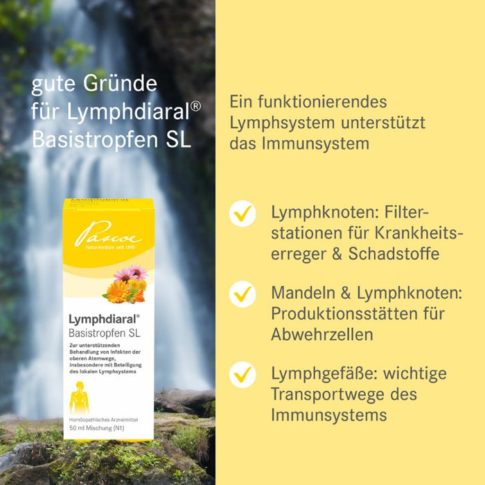 Lymphdiaral Basistropfen SL, 50 ml Solution