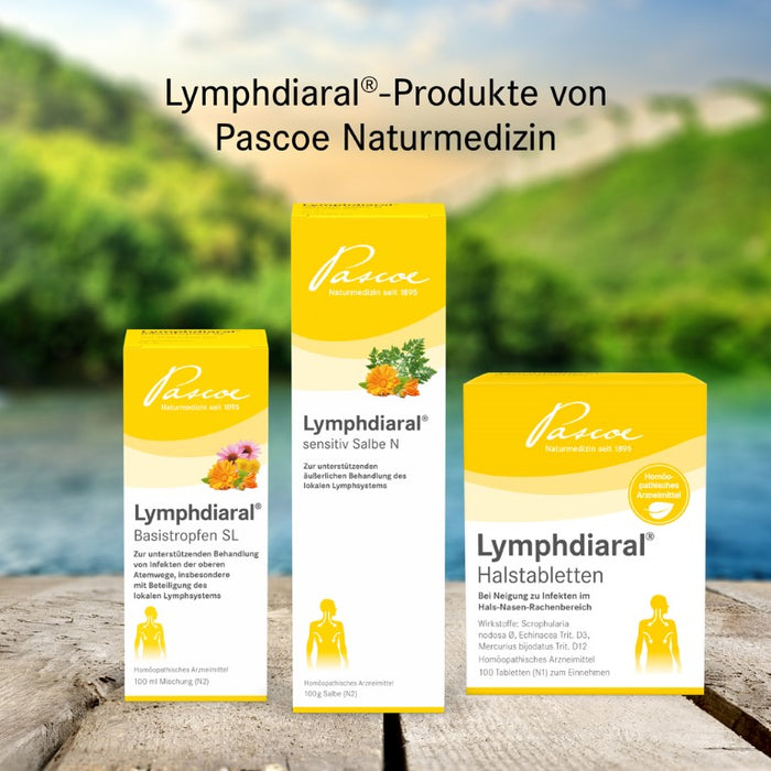 Lymphdiaral Basistropfen SL, 50 ml Solution