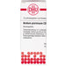 DHU Acidum picrinicum C30 Streukügelchen, 10 g Globuli