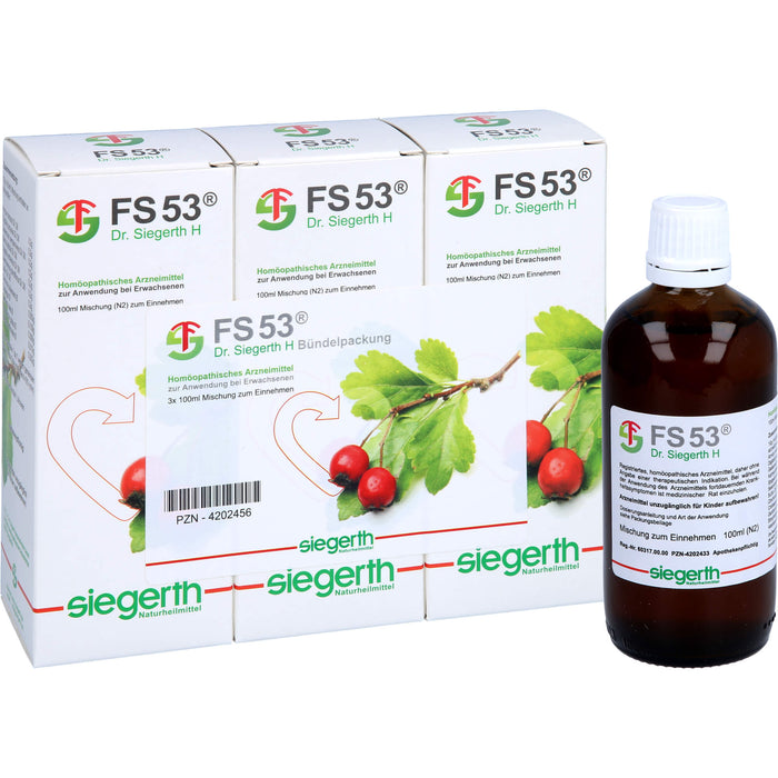 FS 53 Dr. Siegerth H flüssig, 3X100 ml FLU