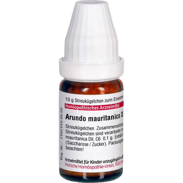 Arundo mauritanica C6 DHU Globuli, 10 g Globules