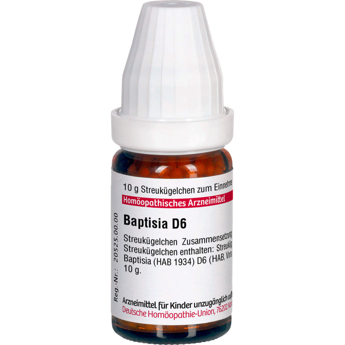 Baptisia D6 DHU Globuli, 10 g Globules