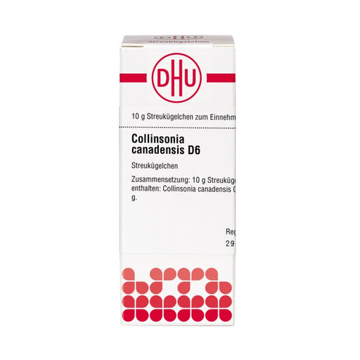 DHU Collinsonia canadensis D6 Streukügelchen, 10 g Globuli