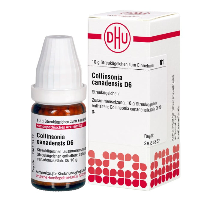 DHU Collinsonia canadensis D6 Streukügelchen, 10 g Globuli