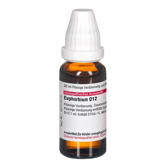 DHU Euphorbium D 12 flüssige Verdünnung, 20 ml Solution