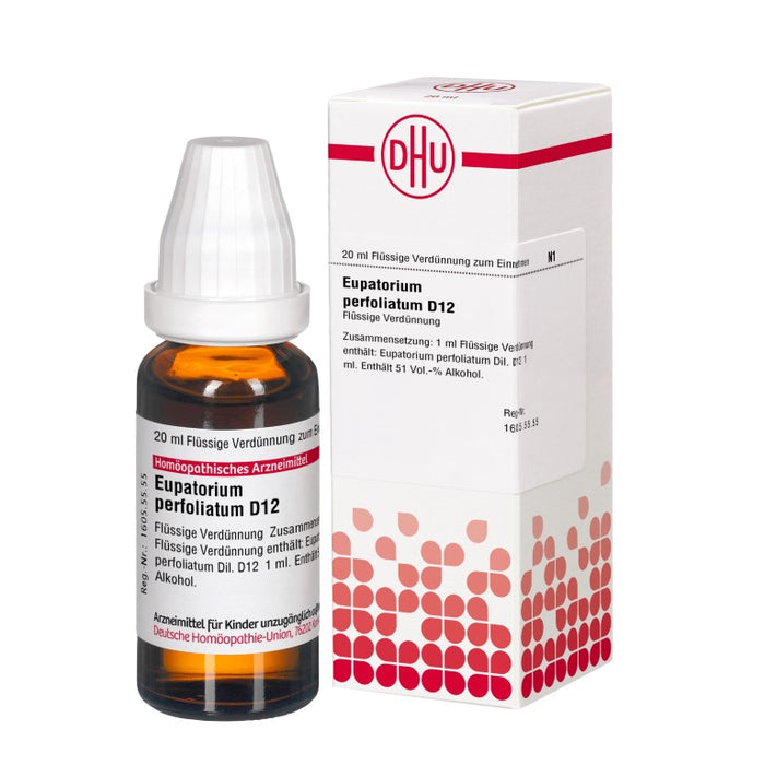 DHU Eupatorium perfoliatum D12 Dilution, 20 ml Solution