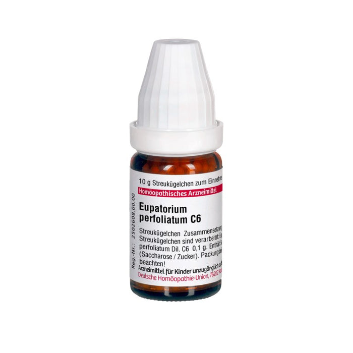 Eupatorium perfoliatum C6 DHU Globuli, 10 g Dispersion
