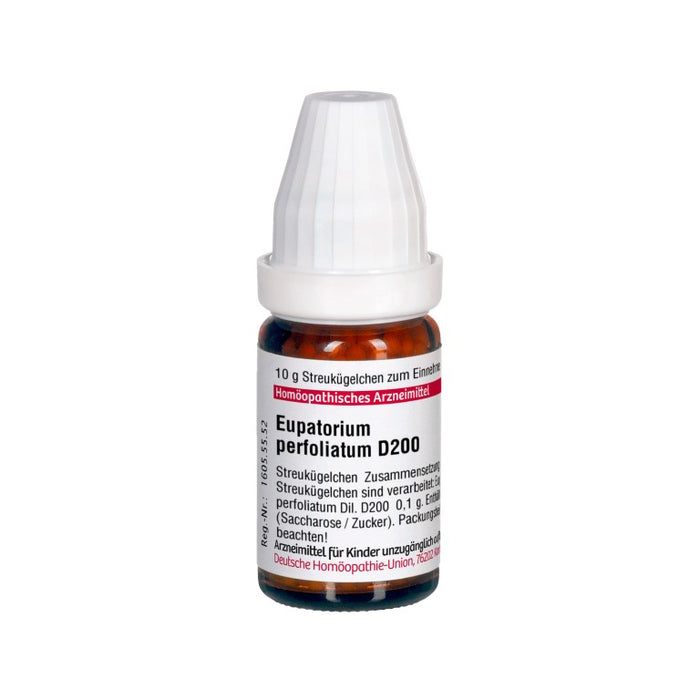 Eupatorium perfoliatum D200 DHU Globuli, 10 g Globules