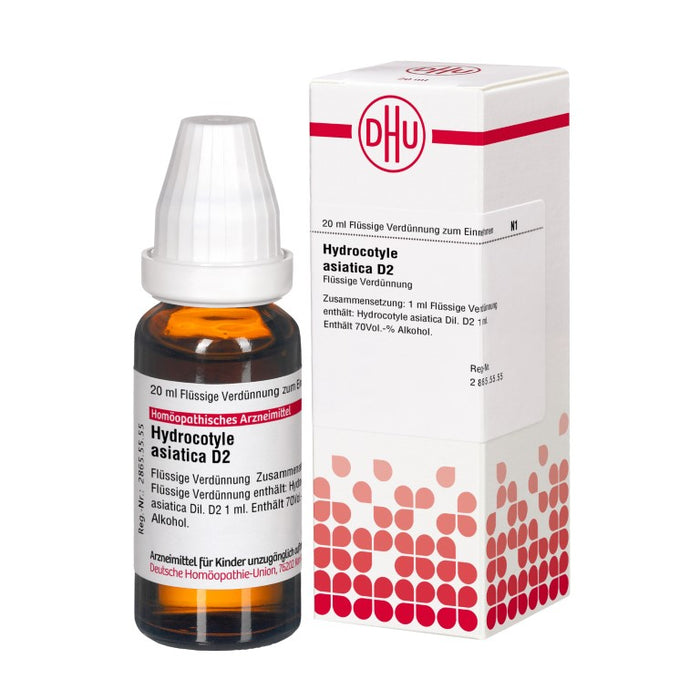 Hydrocotyle asiatica D2 DHU Dilution, 20 ml Solution