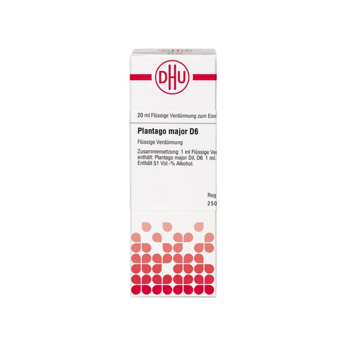 Plantago major D6 DHU Dilution, 20 ml Lösung