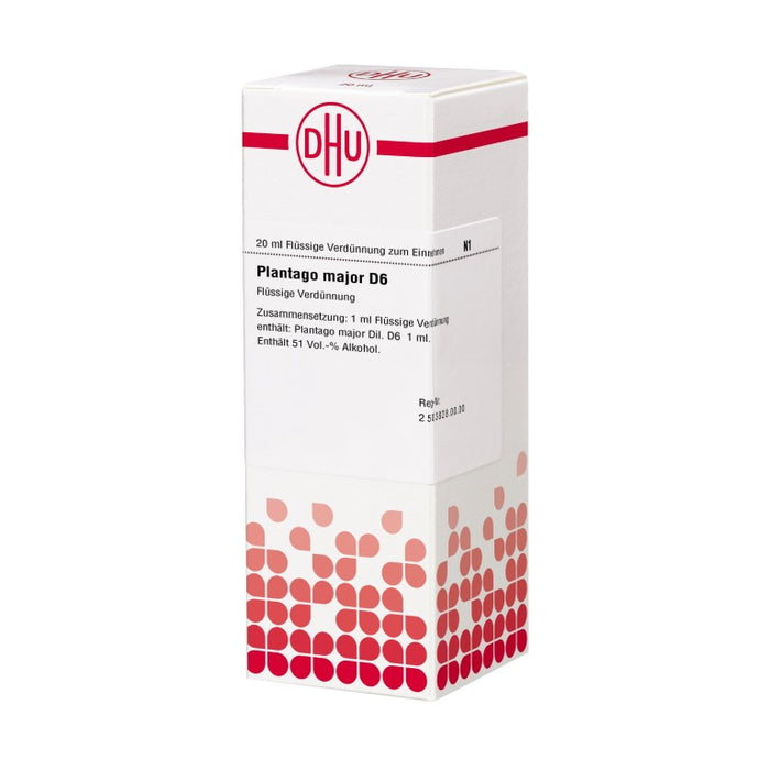 Plantago major D6 DHU Dilution, 20 ml Lösung