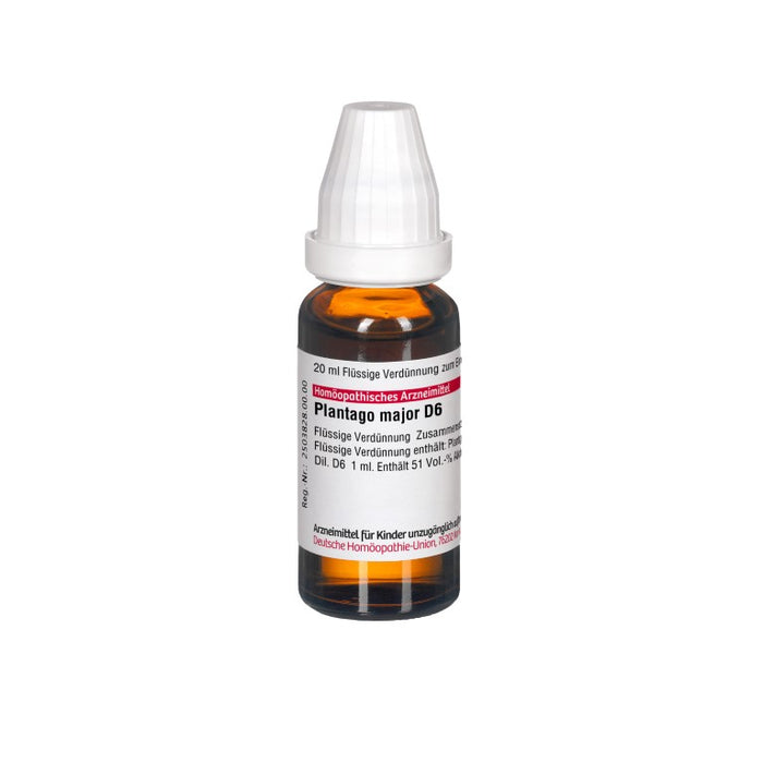 Plantago major D6 DHU Dilution, 20 ml Lösung