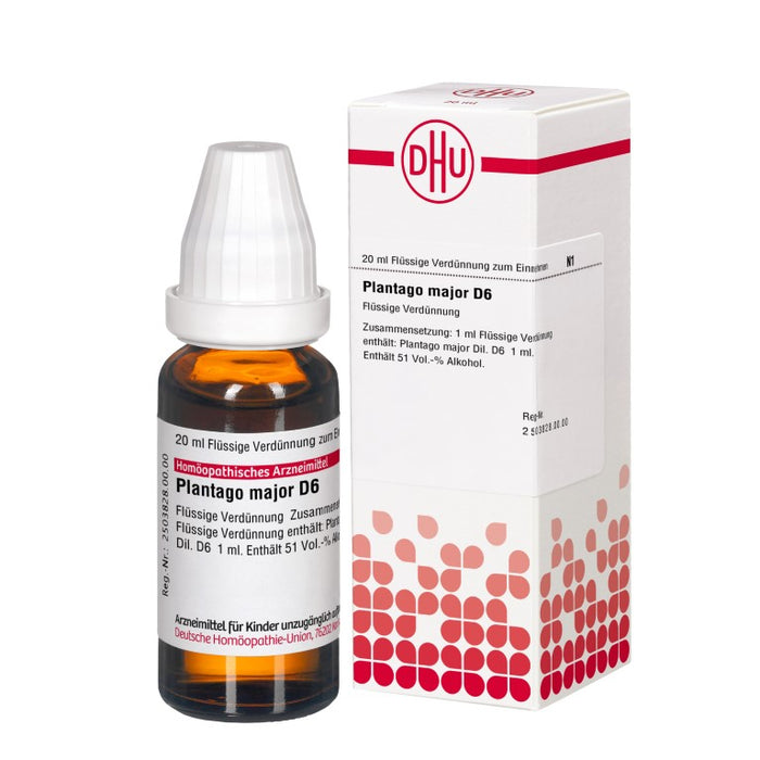 Plantago major D6 DHU Dilution, 20 ml Lösung