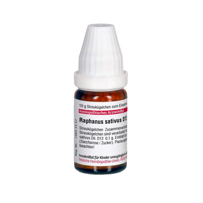 Raphanus sativus D12 DHU Globuli, 10 g Globules