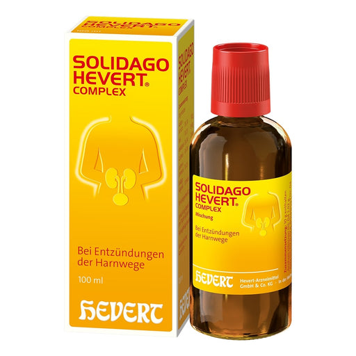 Solidago Hevert Complex, 100 ml Lösung