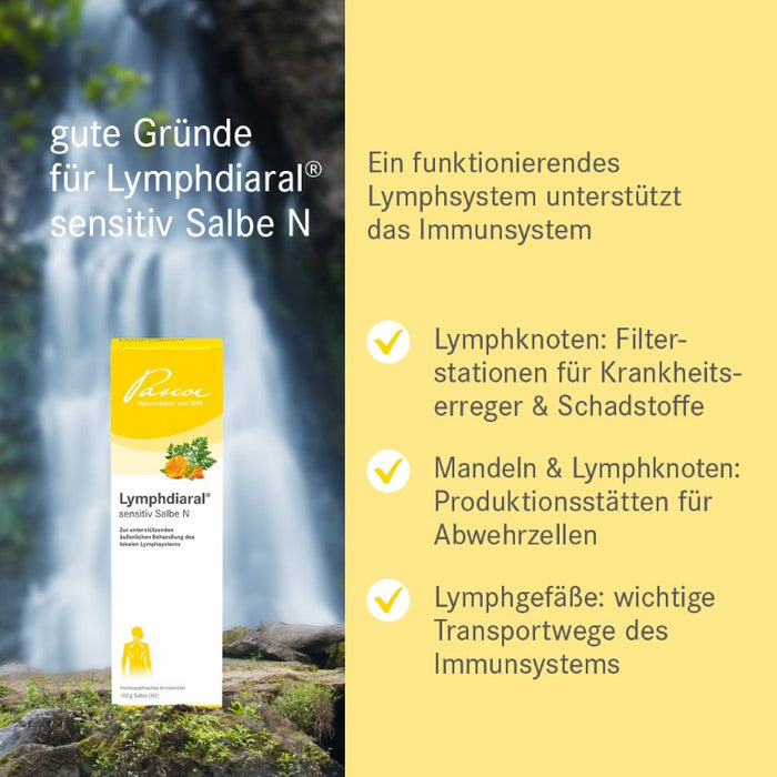 Lymphdiaral sensitiv Salbe N, 100 g Onguent