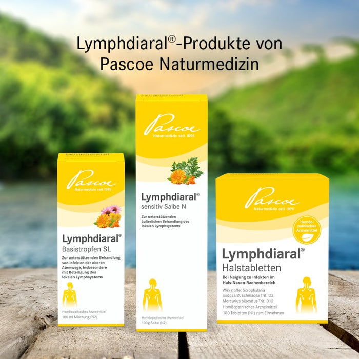 Lymphdiaral sensitiv Salbe N, 100 g Onguent