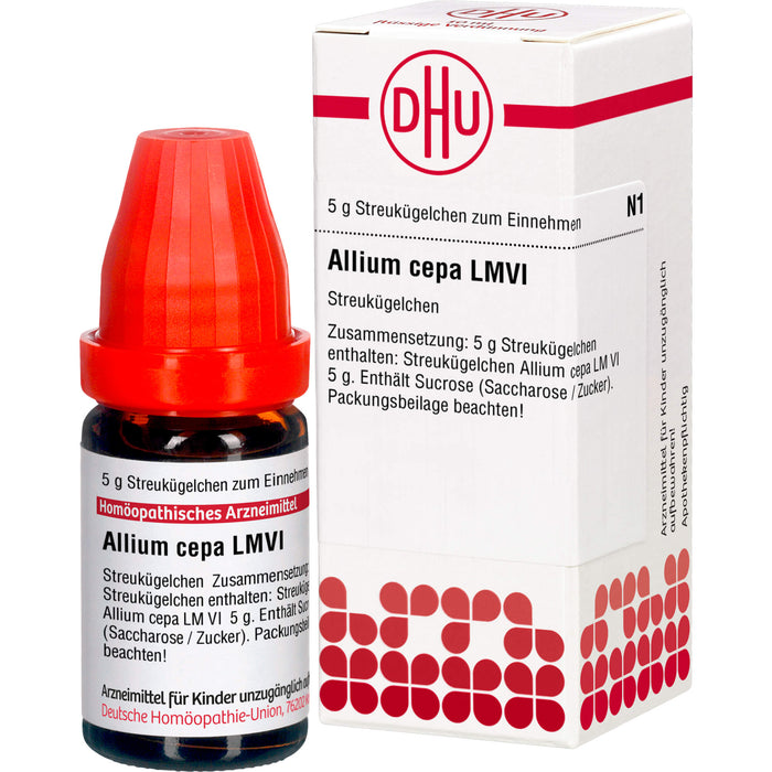 Allium cepa LM VI DHU Globuli, 5 g Globules