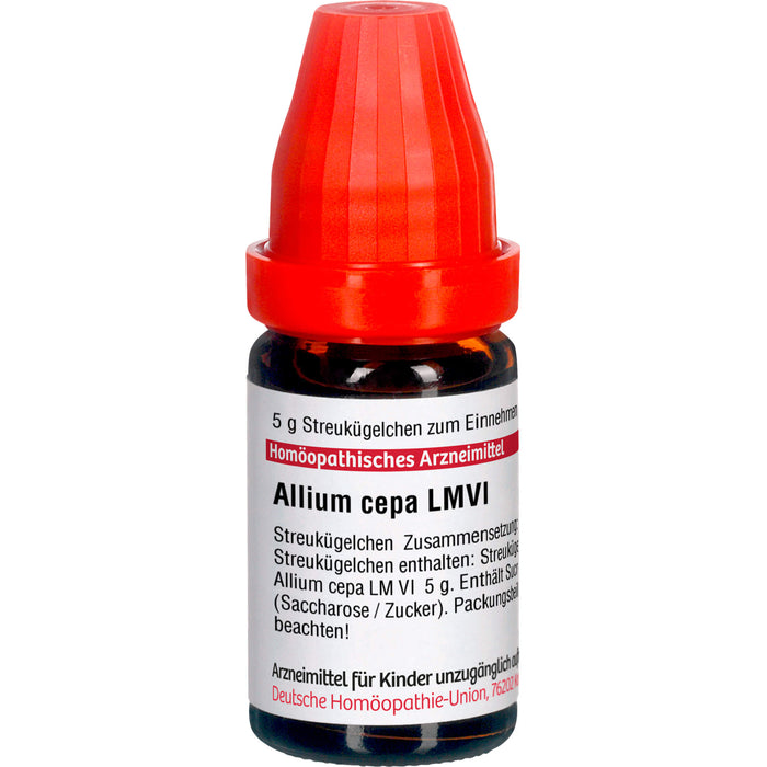 Allium cepa LM VI DHU Globuli, 5 g Globules