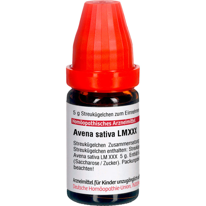Avena sativa LM XXX DHU Globuli, 5 g Globules