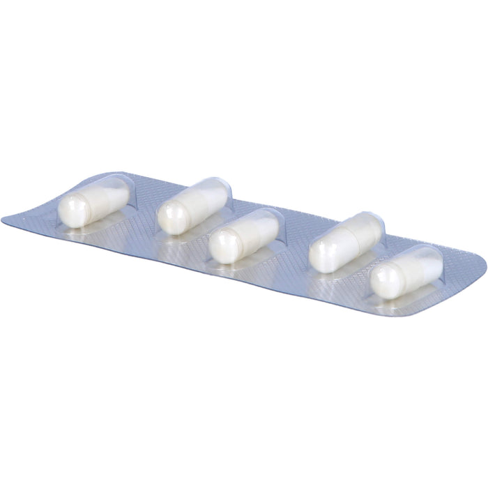 SANUM-KEHLBECK Mucedokehl D4 Kapseln, 20 pcs. Capsules