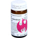 Rhus toxicodendron Phcp Glob., 20 g Globuli