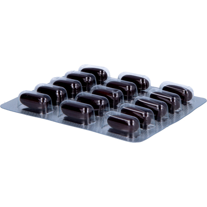 ASLAN Life Compound M Kapseln zur täglichen Versorgung des Mannes, 60 pc Capsules