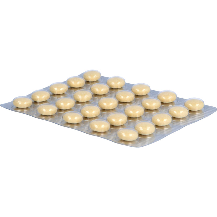 Jarsin  300 mg, überzogene Tabletten, 100 St. Tabletten